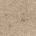 Textures 235